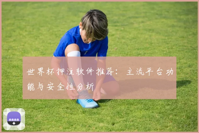 世界杯押注软件推荐:主流平台功能与安全性分析