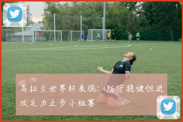 乌拉圭世界杯表现:防守稳健但进攻乏力止步小组赛