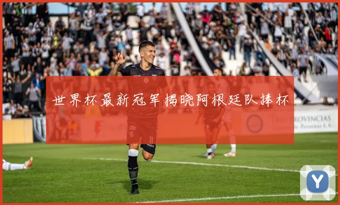 世界杯最新冠军揭晓阿根廷队捧杯