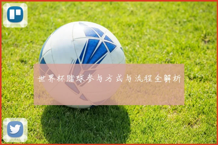 世界杯赌球参与方式与流程全解析