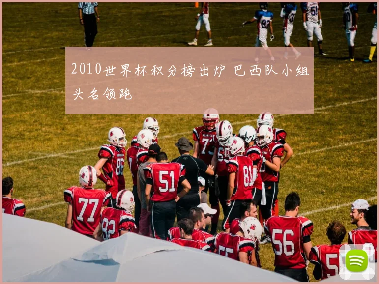 2010世界杯积分榜出炉 巴西队小组头名领跑