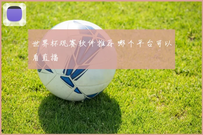 世界杯观赛软件推荐 哪个平台可以看直播