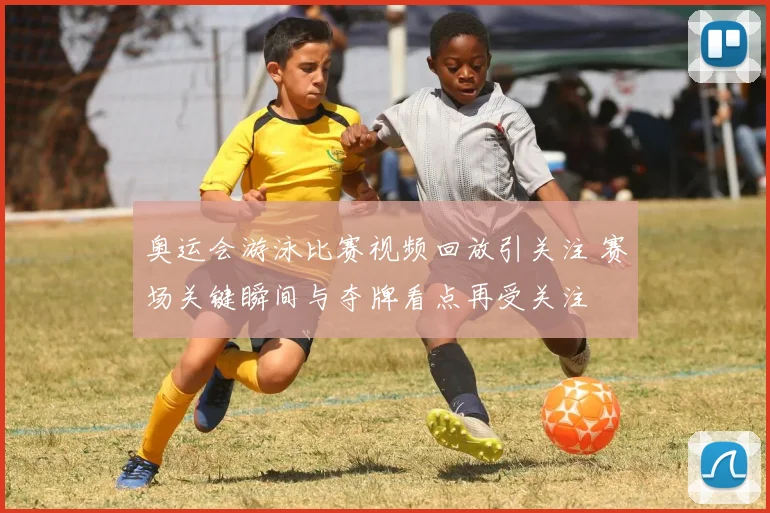 奥运会游泳比赛视频回放引关注 赛场关键瞬间与夺牌看点再受关注